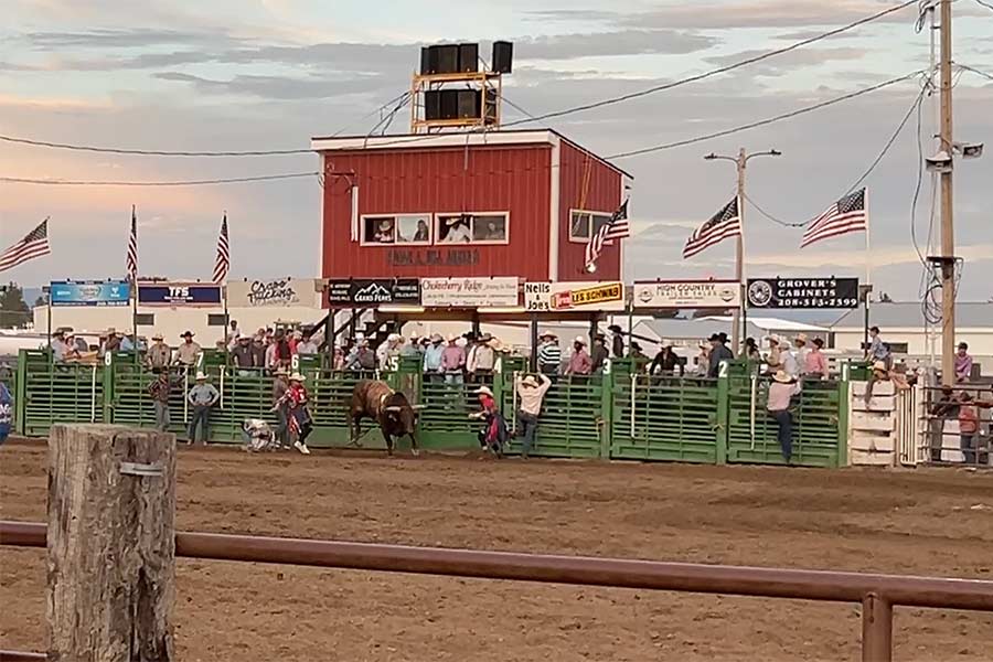 rodeo 6