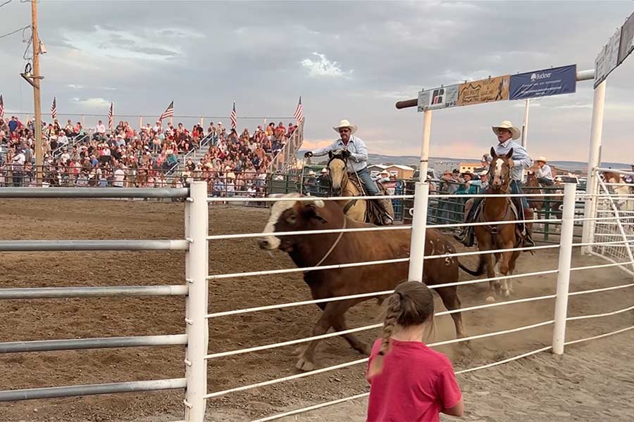rodeo 7