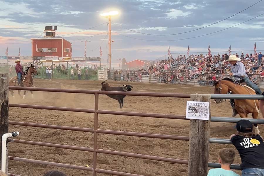 rodeo 8
