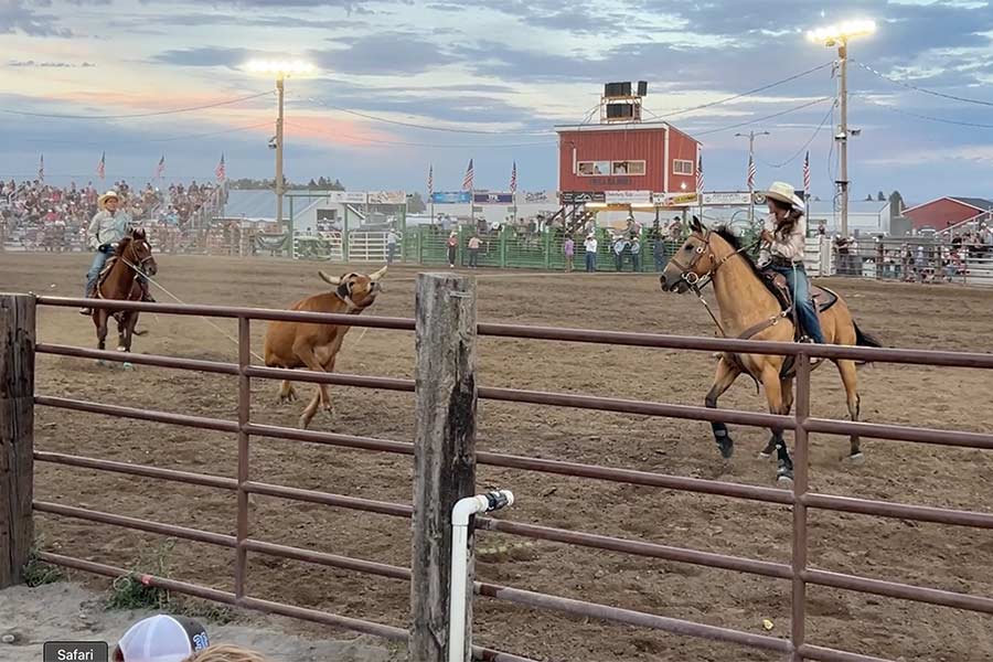 rodeo 9