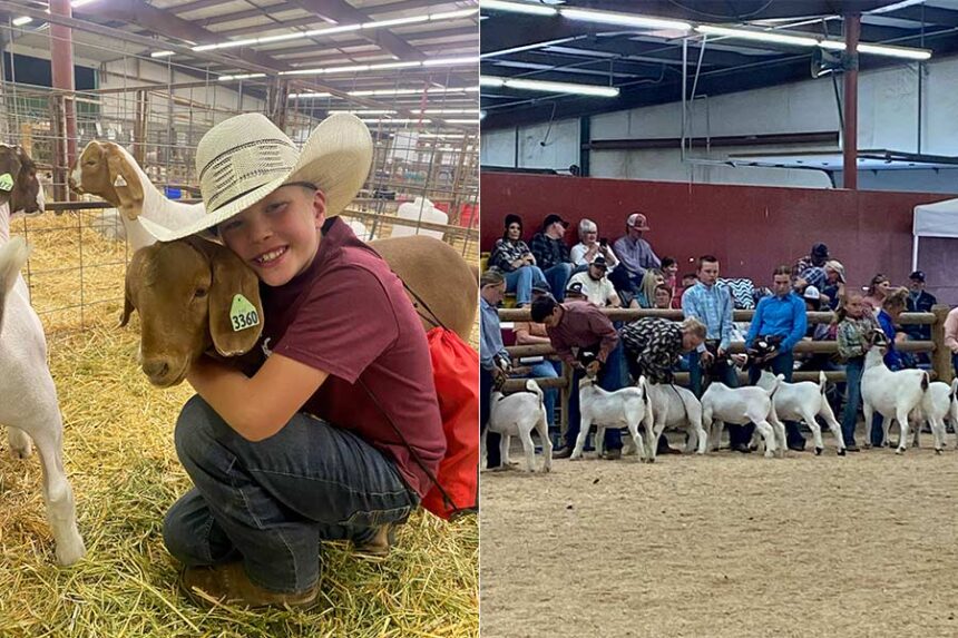 4-H students across eastern Idaho are gearing up for the Eastern Idaho State Fair, which is happening Sept. 4-12. | Courtesy Carmen Willmore