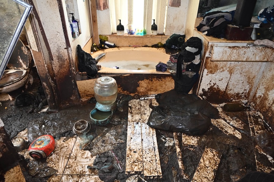 Animal horror house