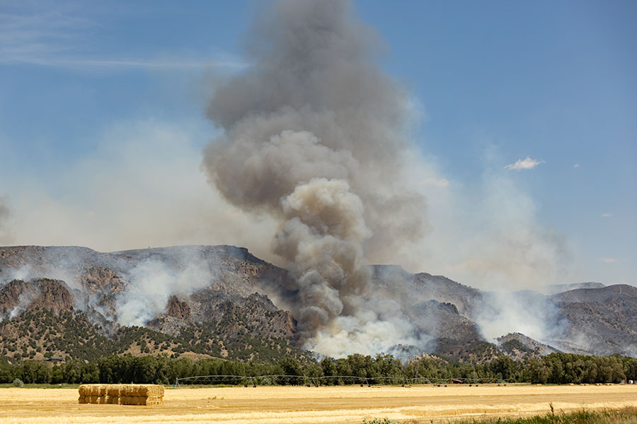 The Big Rock fire has exceeded 1,200 acres on Saturday, as fire crews work to contain the aggressive blaze. | Kaitlyn Hart, EastIdahoNews.com