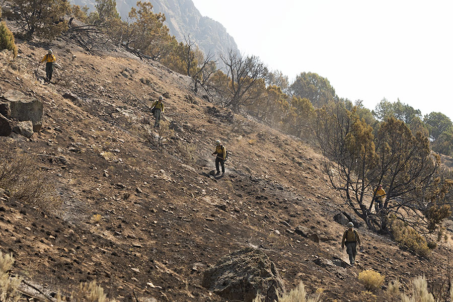 GALLERY: A look inside the burned area of the Big Rock Fire and work by fire crews to protect nearby structures