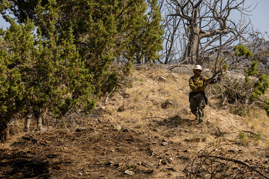 Fire crews working to clear the area north of the Big Rock Campground in Heise. | Daniel V. Ramirez, EastIdahoNews.com