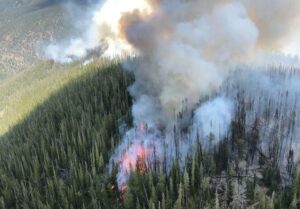 Challis fire