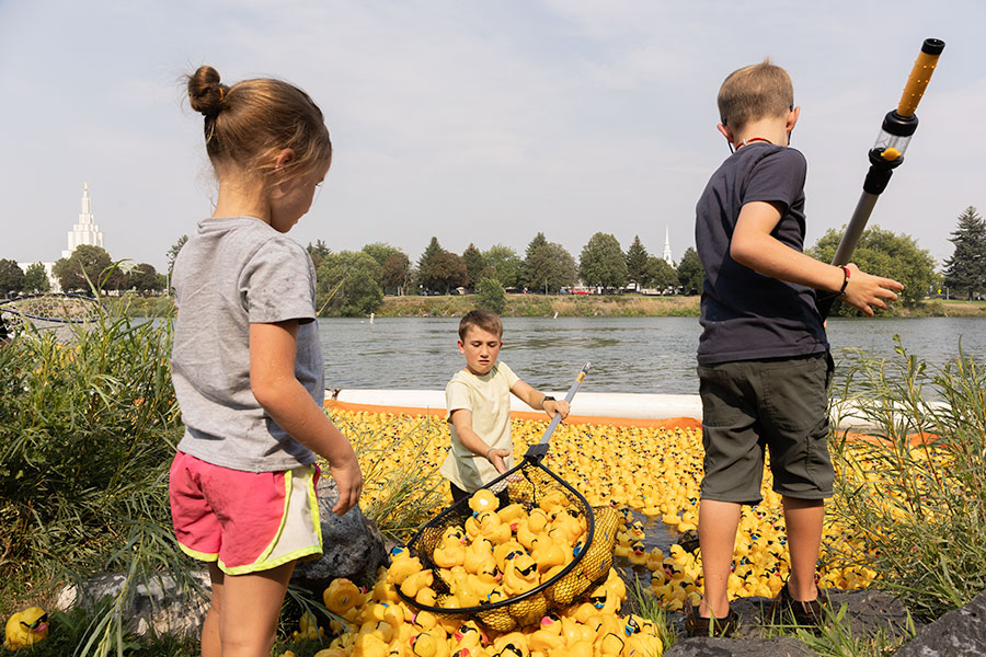 Over a dozen residents of Idaho Falls stepped into help fish out the ducks from the Snake River after the 35th annual Duck Race. | Daniel V. Ramirez, EastIdahoNews.com