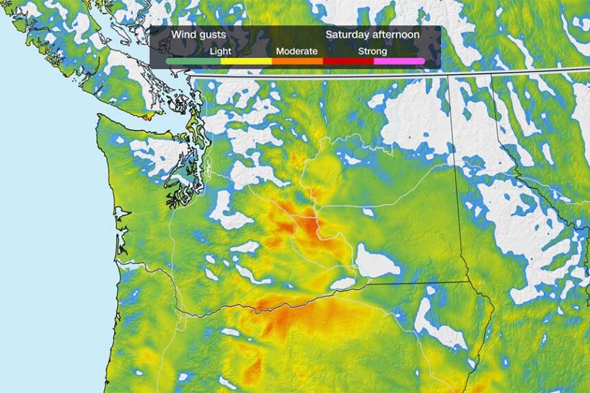 Forecast wind gusts on August 8 Mandatory Credit: CNN Weather via CNN Newsource