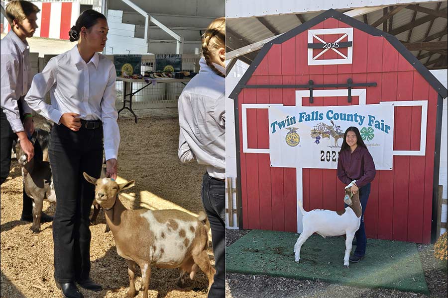 Twin Falls teen selected for prestigious national 4-H leadership scholarship