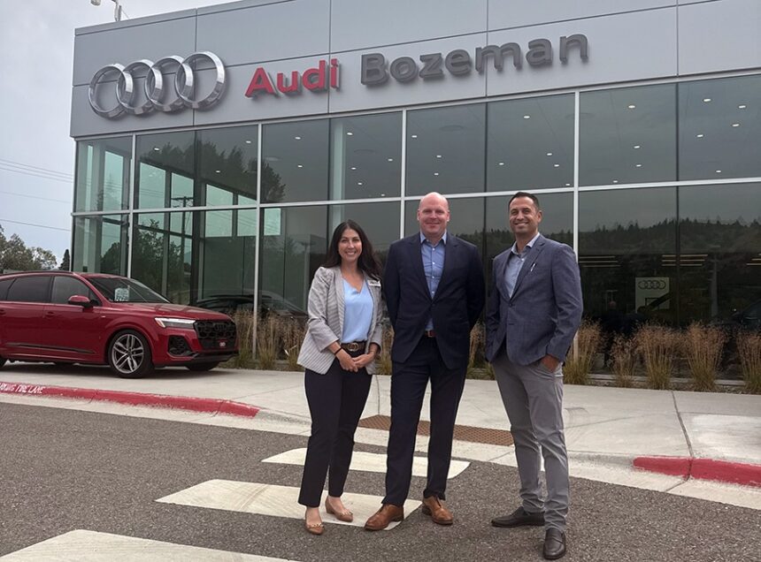 Press Shot Audi V2