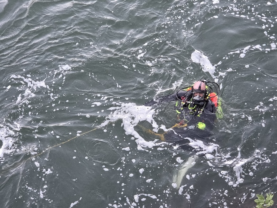 water rescue IF
