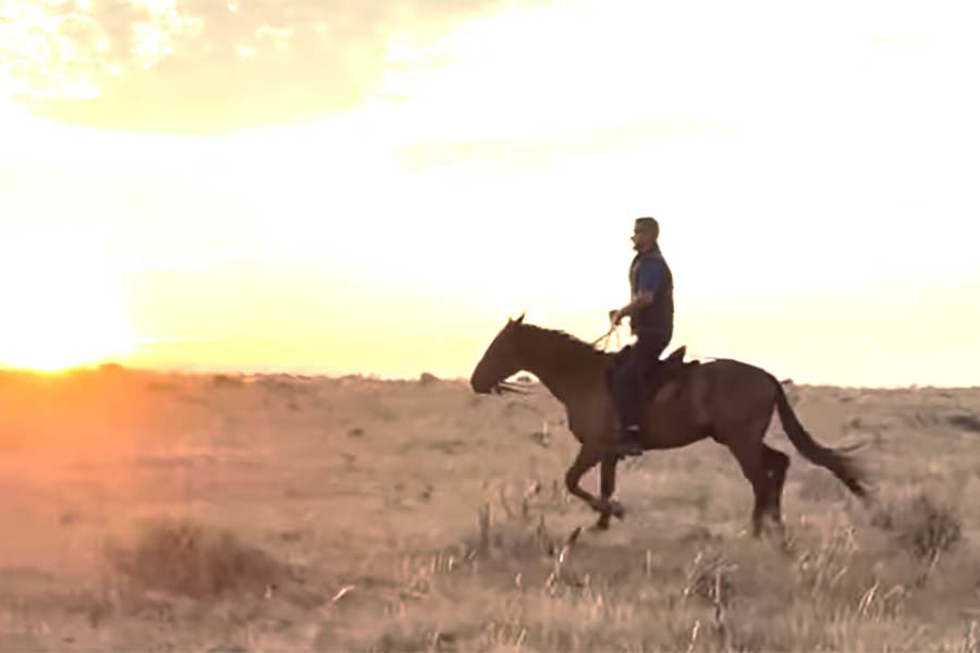 Local man riding 500 miles on horseback to the Canada border