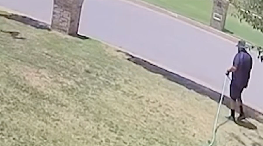 You have to see this! FedEx driver puts out fire his van started on someone's fr...