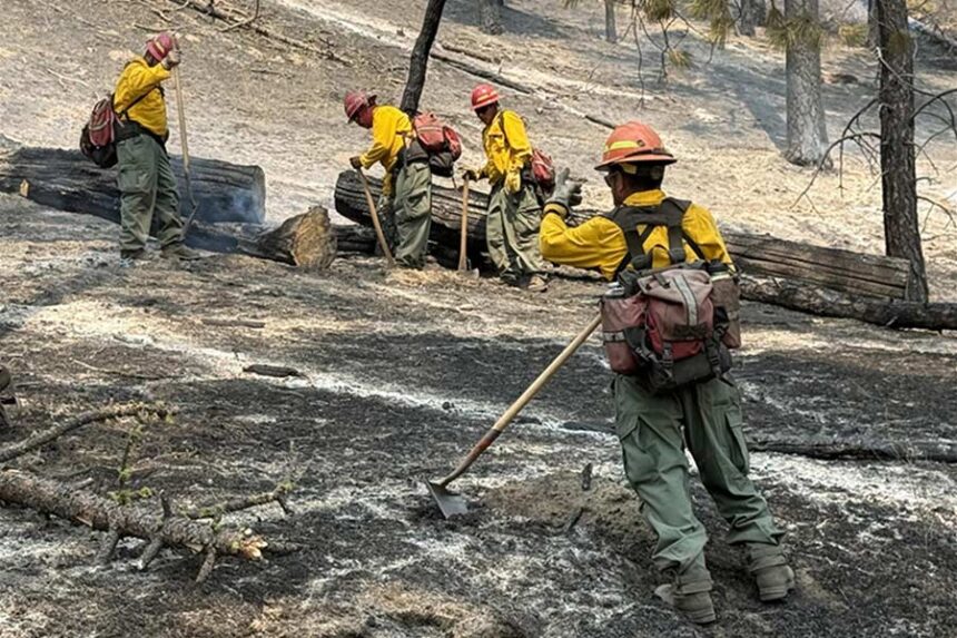 Crew 18 conducts mop-up operations on the Autumn Lane Fire, extinguishing remaining hot spots and securing the fire’s edge to prevent rekindling along the south eastern flank of the fire near the Little Spokane River. Mop-up is a critical phase of wildfire suppression that helps ensure the fire remains contained and reduces the risk of additional spread. (Photo courtesy of California Interagency Incident Management Team 7 and the Washington Department of Natural Resources/InciWeb)