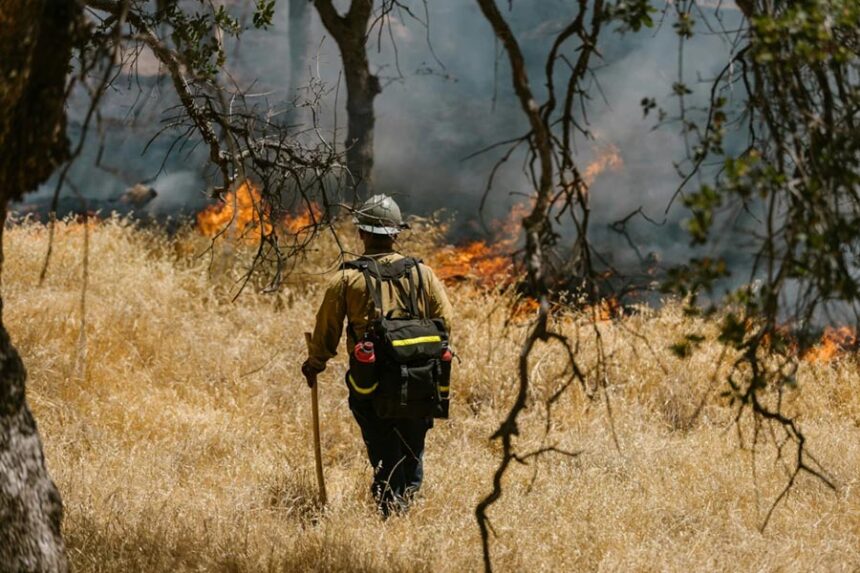 Fire restrictions in southern Idaho have been extended. | USDA