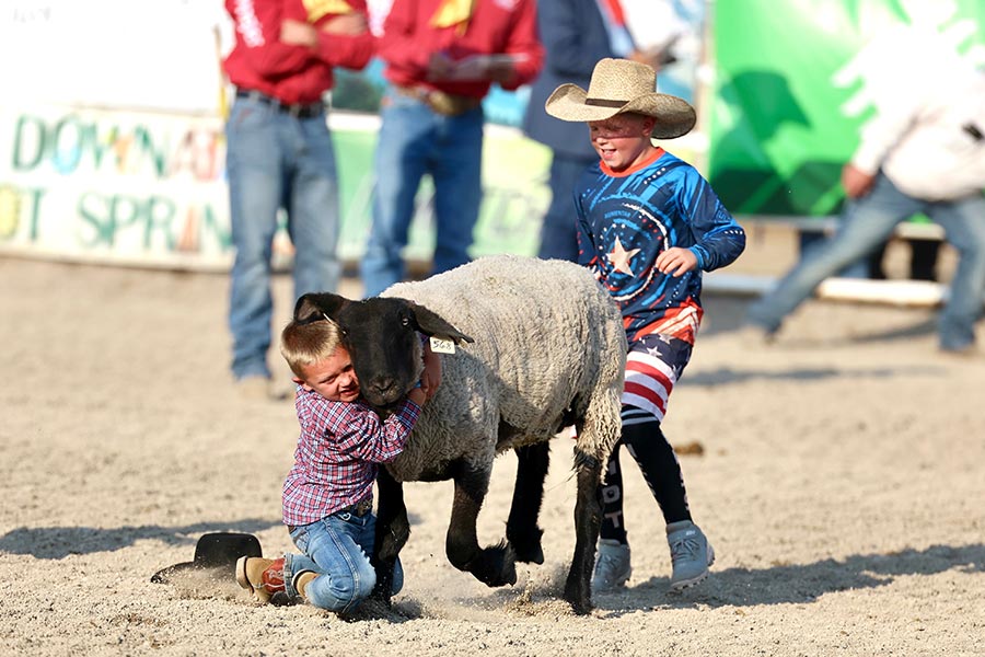 Bannock County Fair