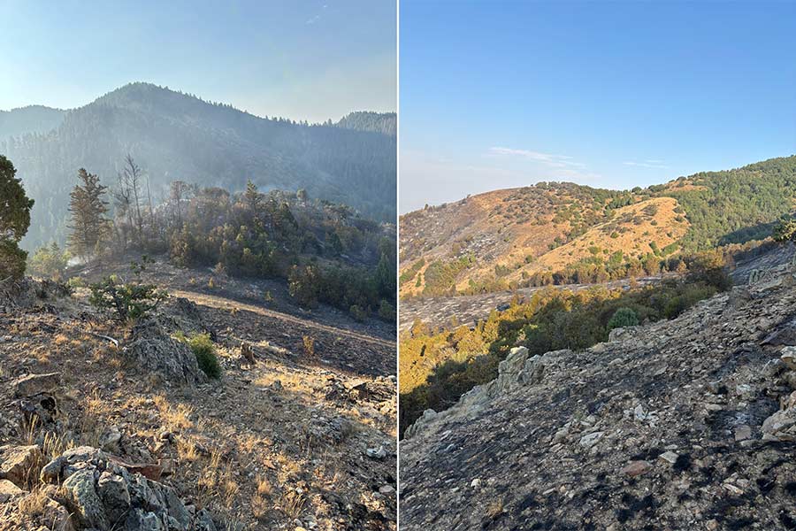 Firefighters anticipate full containment Sunday night on 225-acre McPherson Fire