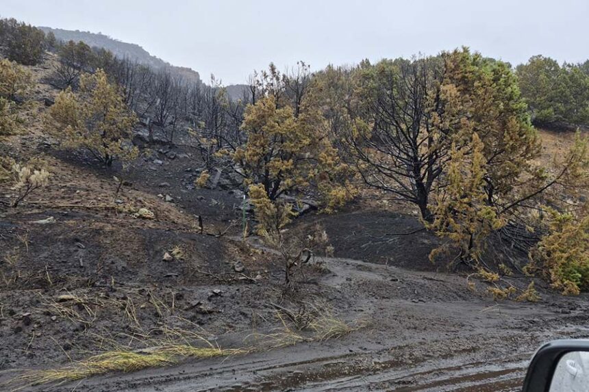 Mudslide near Heise. | Courtesy of Mike Miller, Jefferson County Sheriff's Office