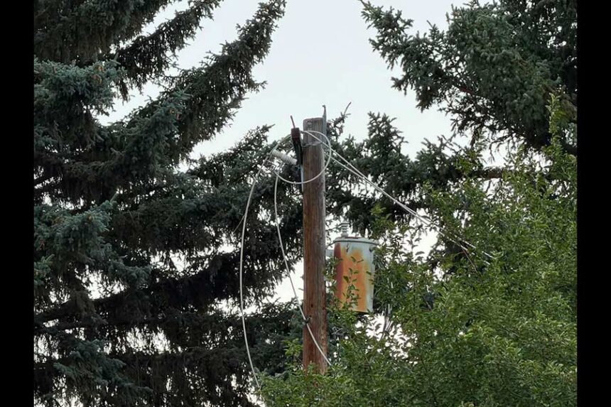 This downed power line in Idaho Falls is the source of the power outage, according to Idaho Falls Power. | Courtesy Idaho Falls Power