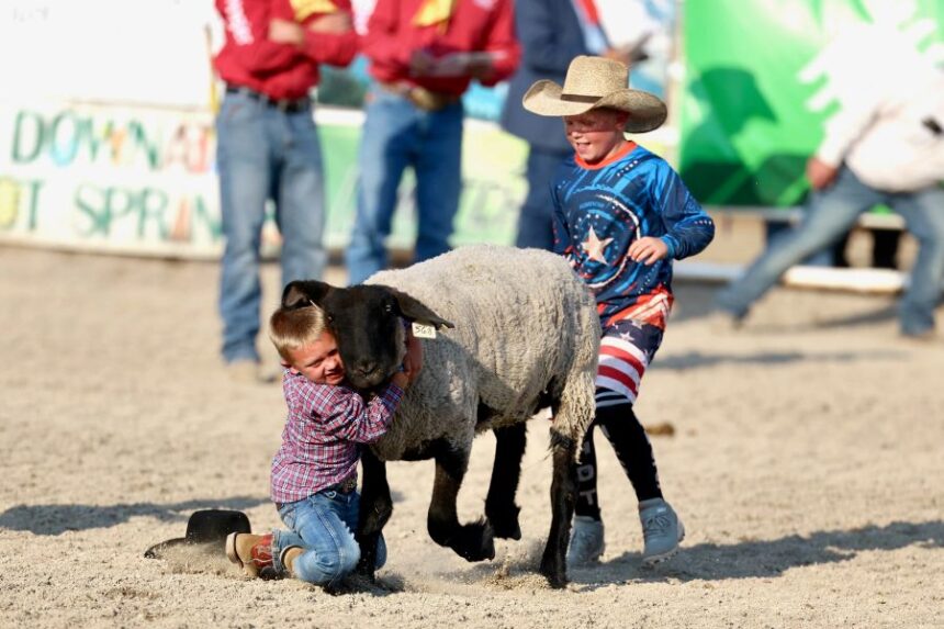 Bannock County Fair Rodeo in Downey. | Kyle Riley, EastIdahoSports.com.