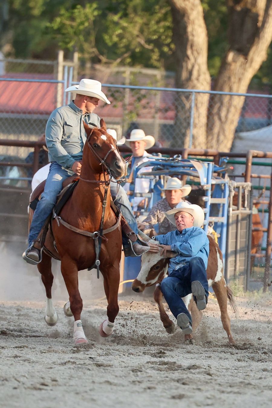 Bannock County Fair Rodeo in Downey. | Kyle Riley, EastIdahoSports.com
