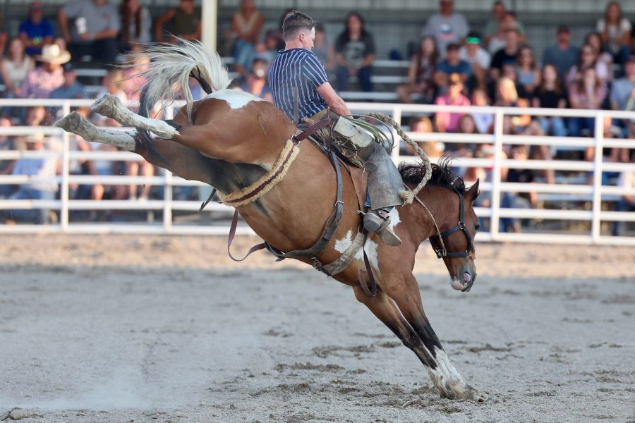 rodeo5