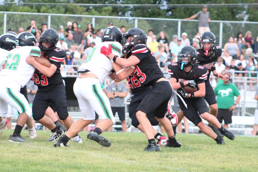 Shelley football