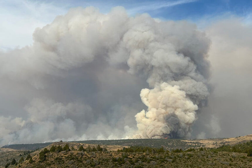 A smoke column billows over rangeland near South Mountain in Idaho.
