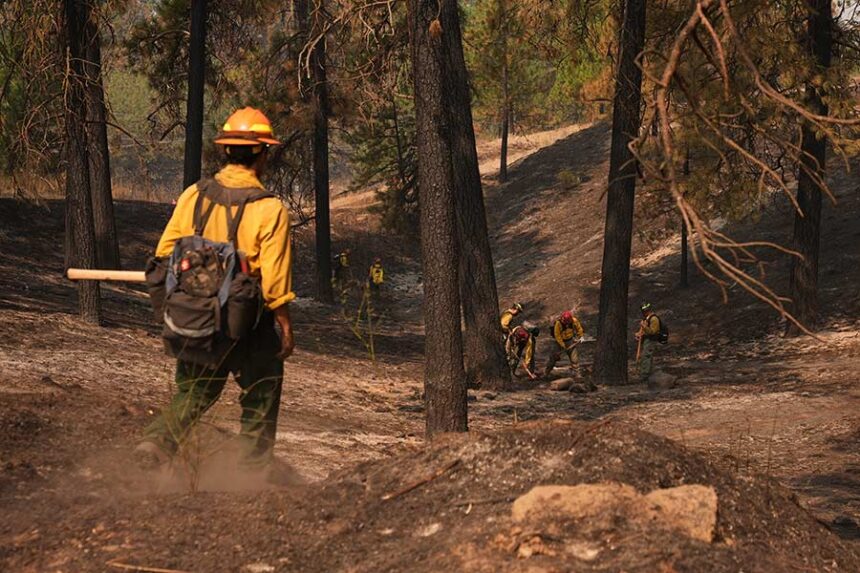 Firefighters inspect an area at Wyakin Park after a wildfire hit the northern part of Spokane, Wash., Tuesday, Aug. 4, 2026. (AP Photo/Lindsey Wasson)
