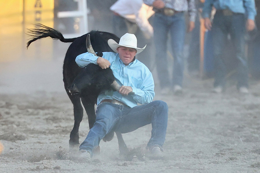 Bannock County Fair rodeo steer wrestling