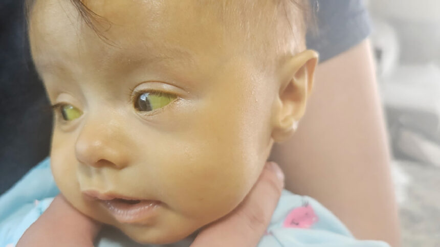 Xalia Ramirez | GoFundMe