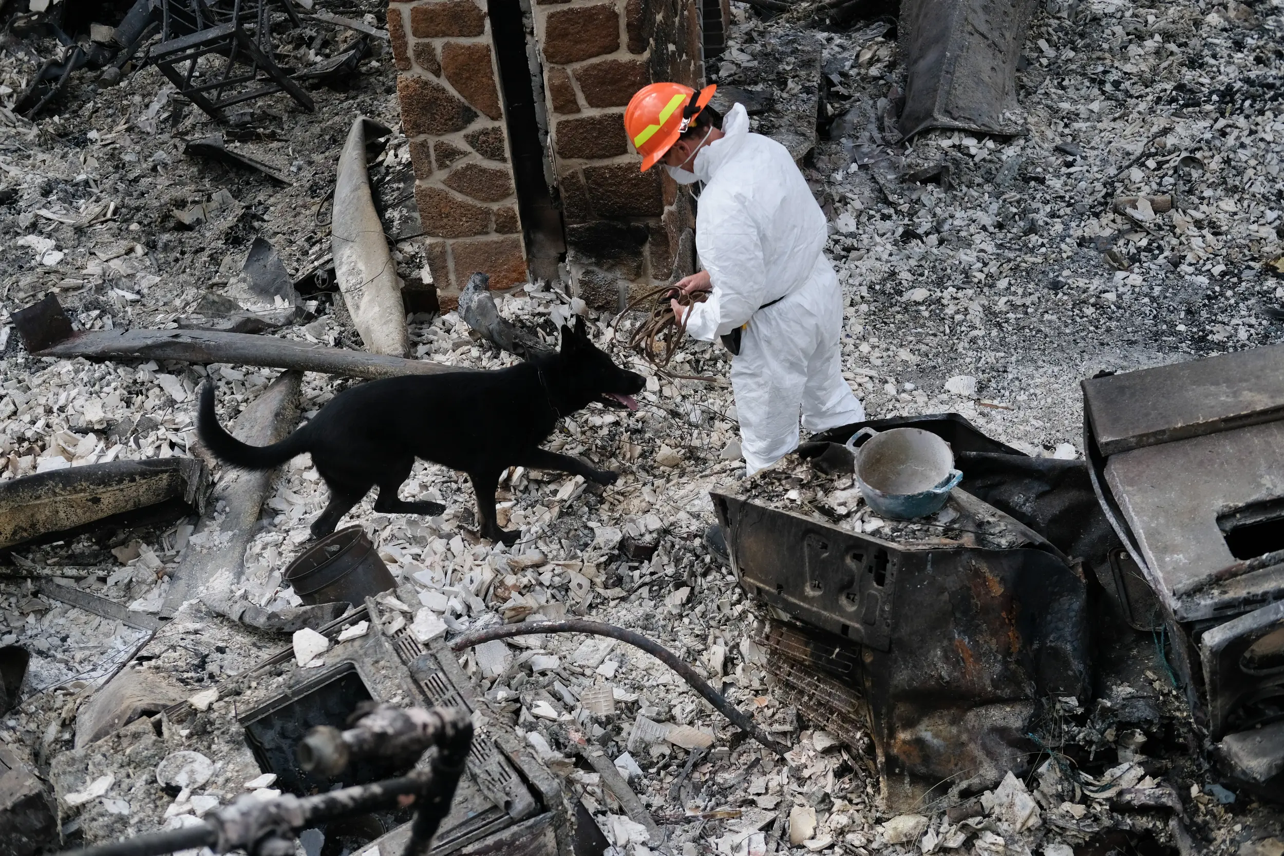 Cagney, a German Shepherd who can smell cremated remains searches a destroyed home with handler Lori Blackburn, a dog handler with Alta Heritage Foundation as they a home lost in the Old Trails fire on Saturday, Aug 29, 2026, in Spokane, Wash. | Tyler Tjomsland, The Spokesman-Review