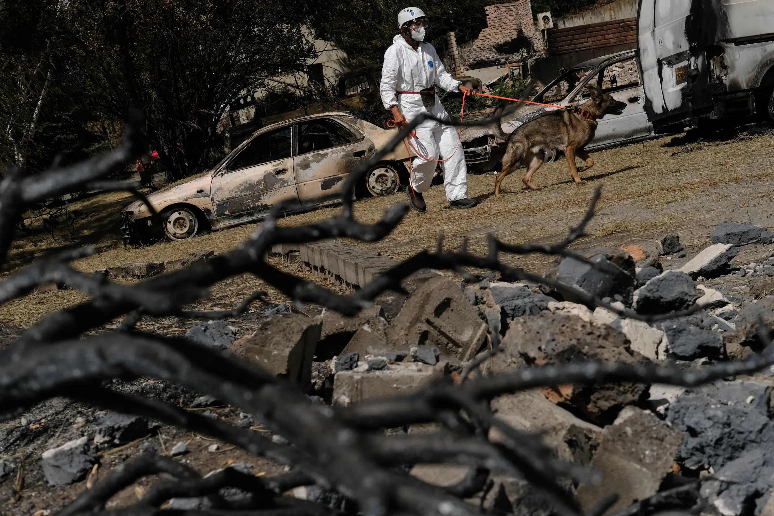 Jenny Reindel, a dog handler with Alta Heritage Foundation, and her dog Quinn arrive on scene to search for cremated remains lost in the Old Trails fire on Saturday, Aug 29, 2026, in Spokane, Wash. (Tyler Tjomsland/The Spokesman-Review)