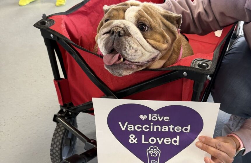 Free vaccines