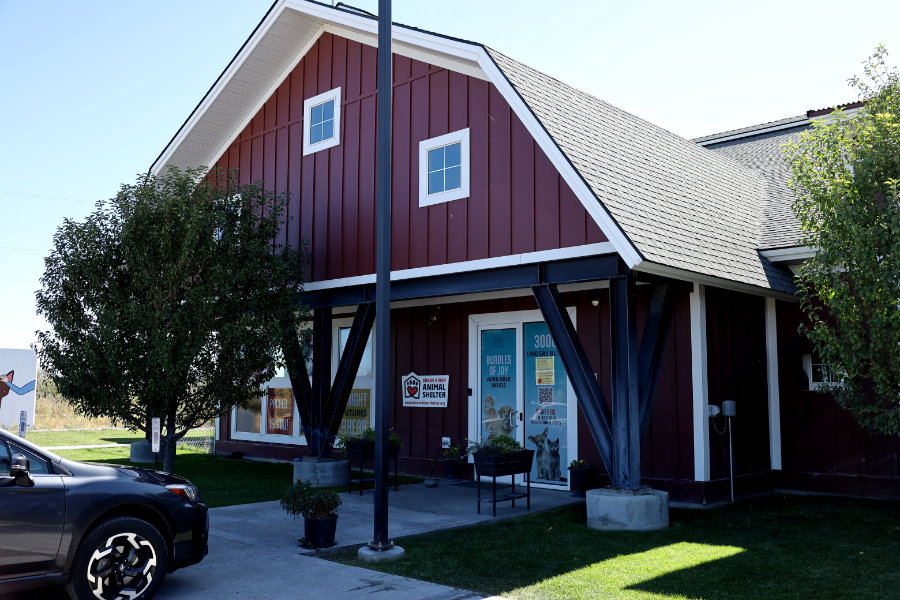 Snake River Animal Shelter | Rachel Jensen, EastIdahoNews.com
