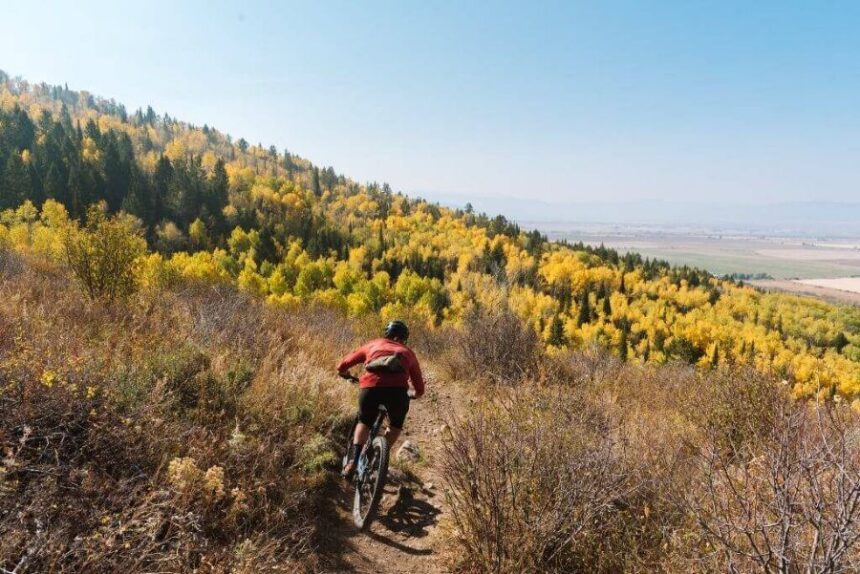 Teton trails