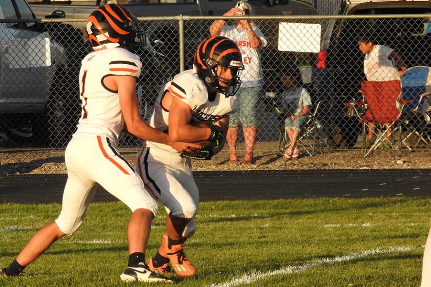 Aberdeen football Graham Farnsworth and Jeremy Partida