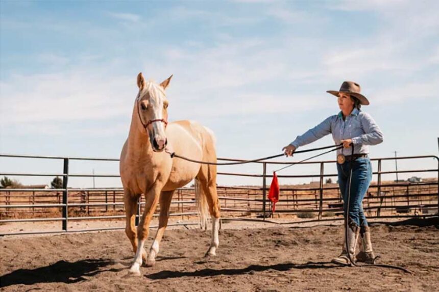 A colt-starting competition will be held at the Madison County Fairgrounds on Sept. 17-19. | Courtesy photo