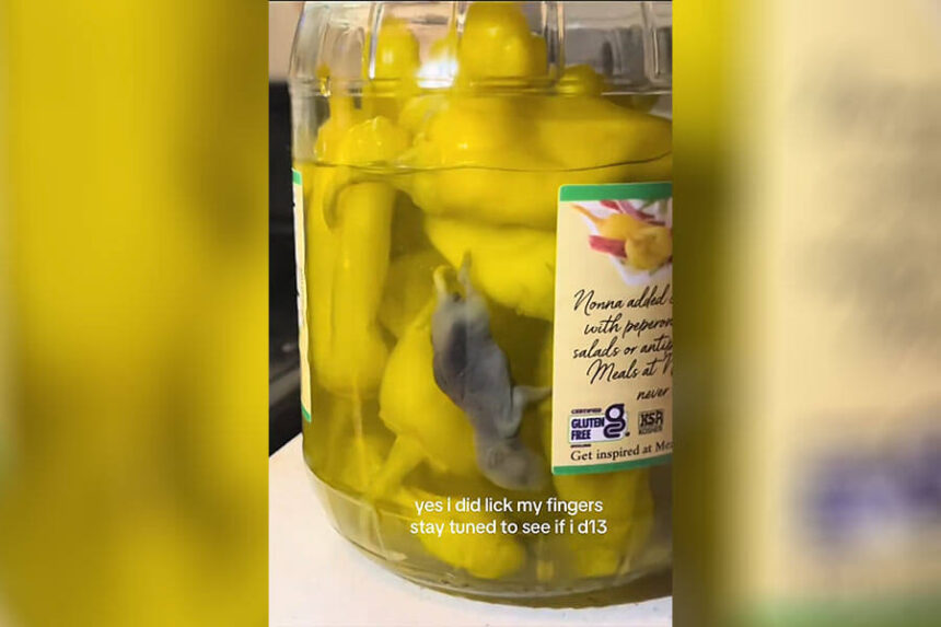 mouse in jar
