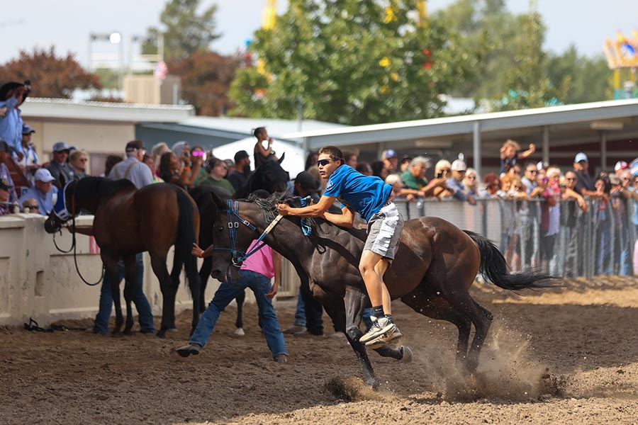 Eastern Idaho State Fair Indian Relays