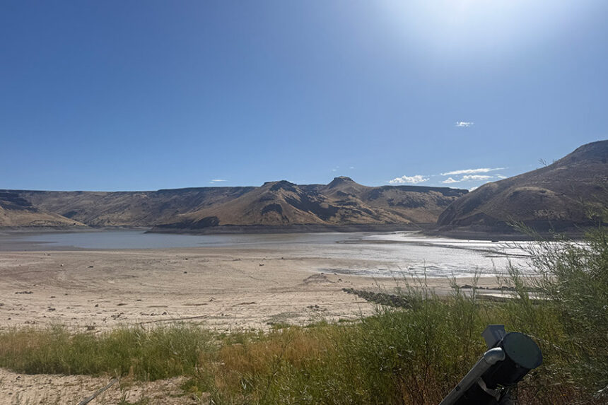 Ririe Reservoir in September 2026. | Kaitlyn Hart, EastIdahoNews.com