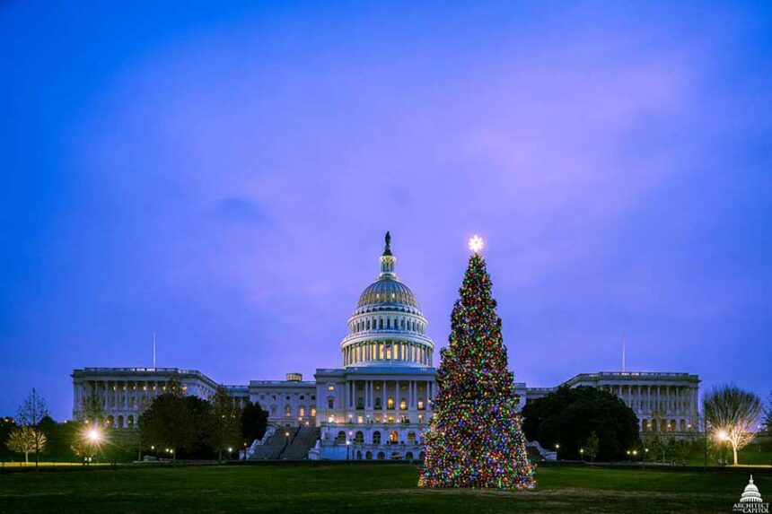 2017 capitol christmas tree