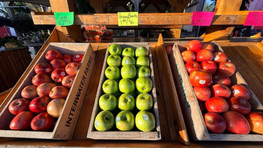 Apples sit ready for purchase at a fruit and vegetable stand in Omer, Michigan. The U.S. Department of Health and Human Services announced Tuesday a $499,465 award to Idaho State University for a new federal program, the Maternal Produce Prescription Program. (Photo by Brien Aho/USDA)