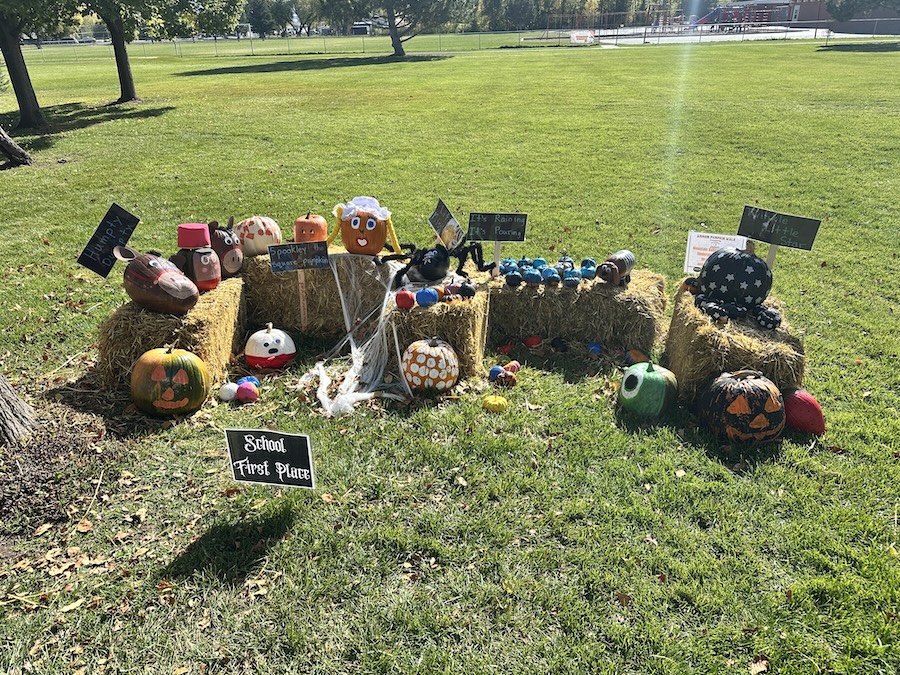 IMG 1546