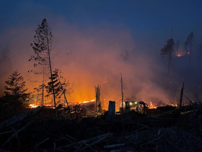 The Idaho Department of Lands managed the Tyson Fire, which firefighters responded to in Benewah County in July 2023. (Photo courtesy of the Idaho Department of Lands)