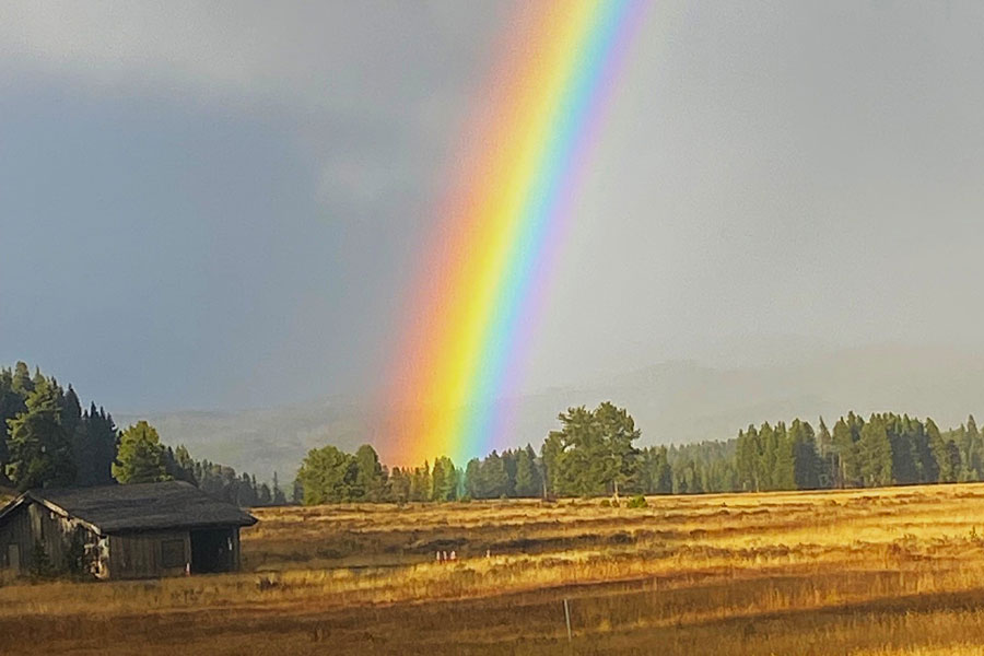 A brilliant rainbow at Lake Lodge by Yellowstone Lake. | Bill Schiess, EastIdahoNews.com