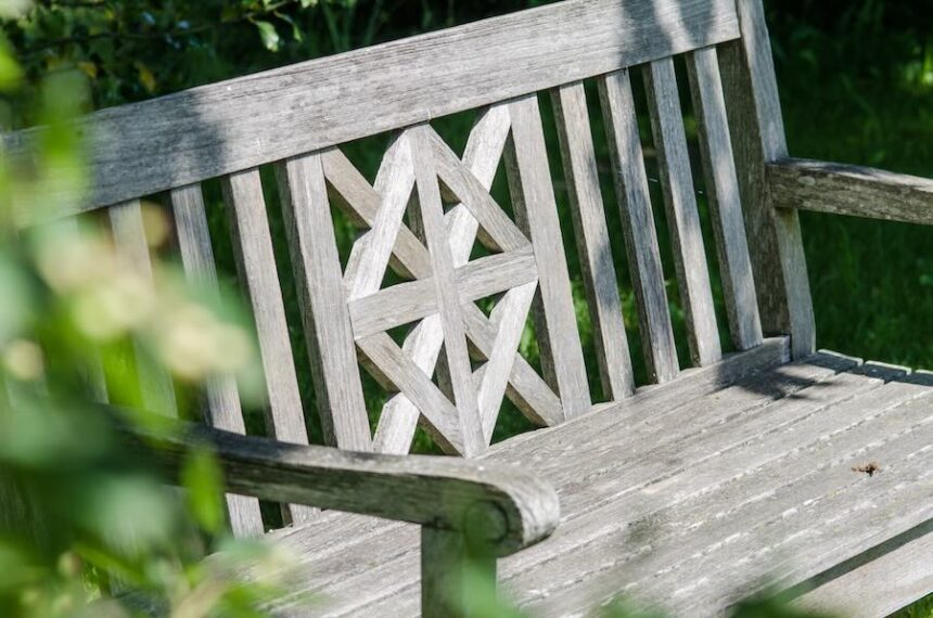 Empty Wooden Bench in a Peaceful Green Garden