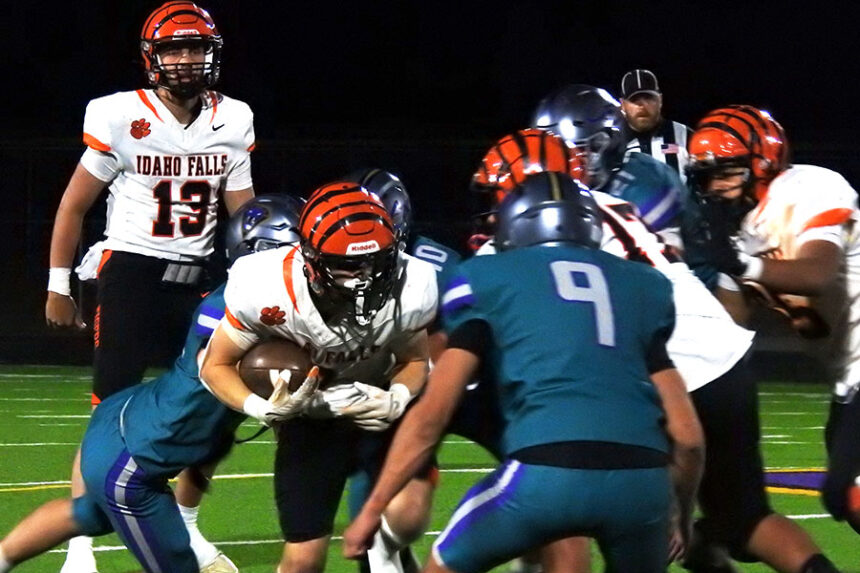 Idaho Falls Jonny Sereno