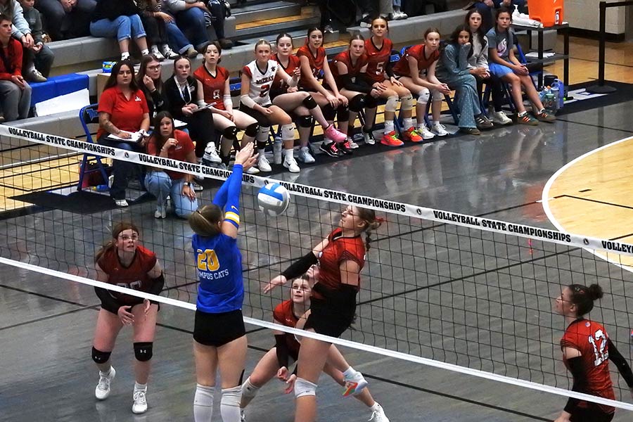 Mackay volleyball Bentley Summers