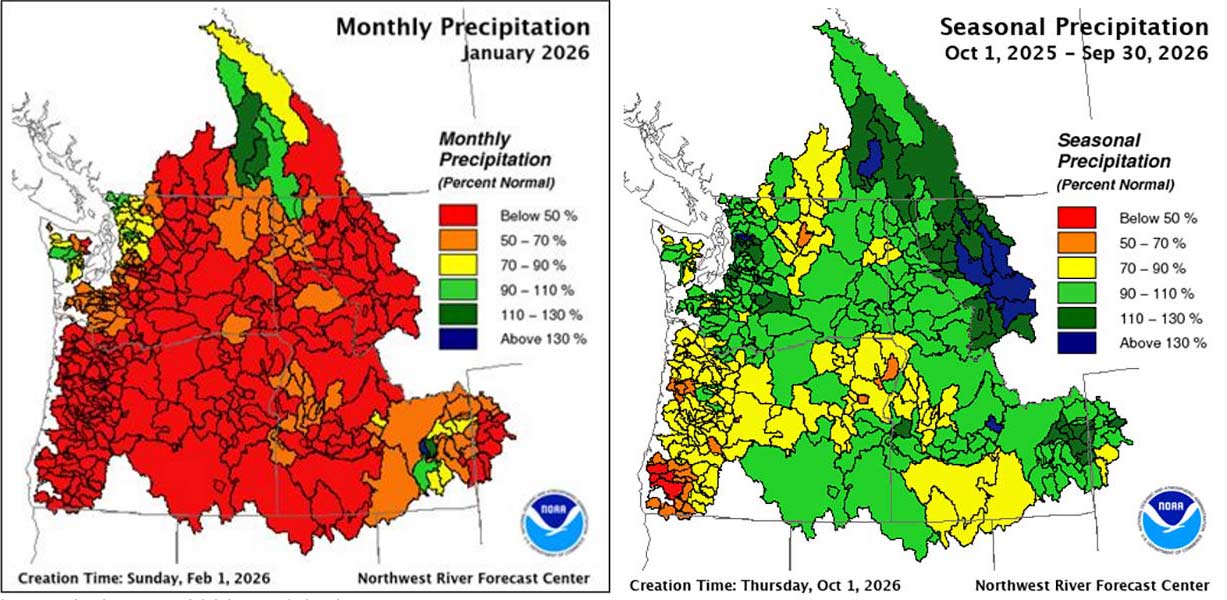 precip breakdown